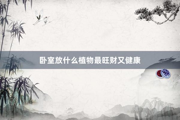 卧室放什么植物最旺财又健康